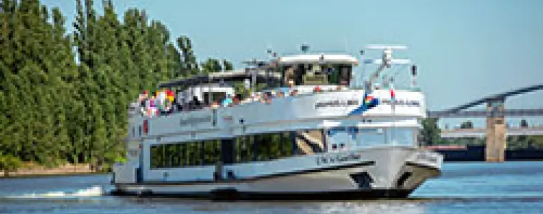 Johann Wolfgang v. Goethe