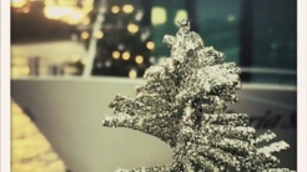 Erlebnisse auf dem Main verschenken: Die Geschenk-Tipps der Primus-Linie zu Weihnachten