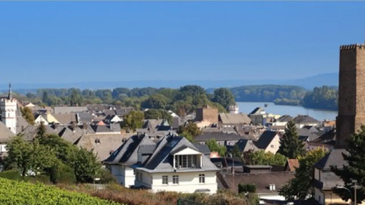 Nachmittagsfahrt in den Rheingau ab Ginsheim, Mainz und Wiesbaden