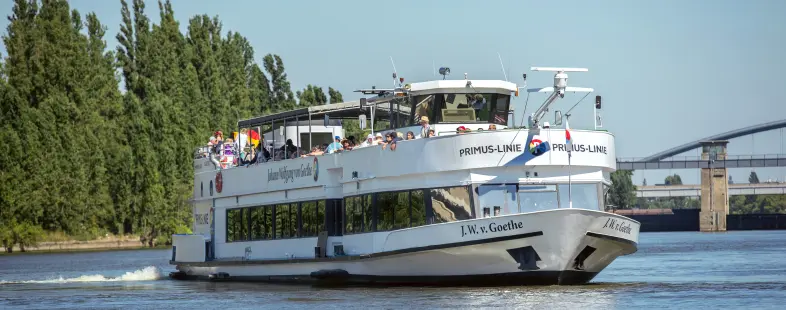 Johann Wolfgang v. Goethe